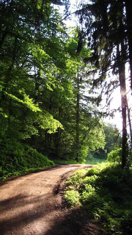 Gaestezimmer Waldblick Wimbach Exterior foto